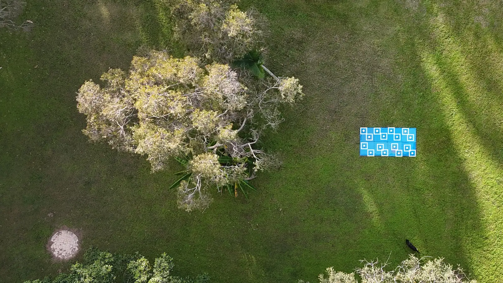 Top-down UAV frame of a paddock at 40 m with the 16 target bowls boxed